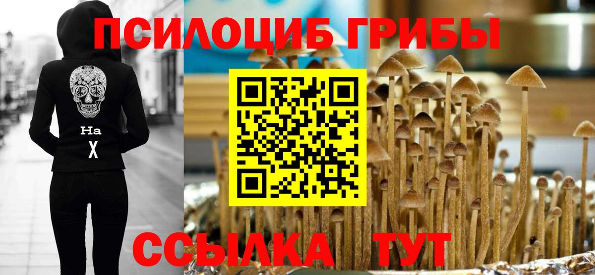 Галлюциногенные грибы мицелий Туапсе